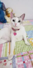 LUISE 