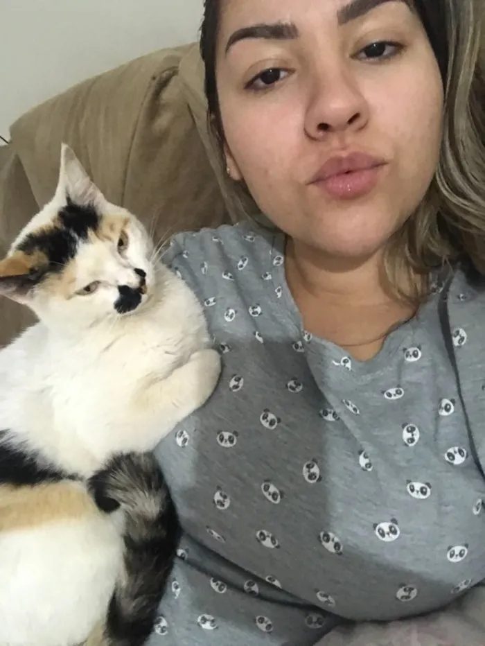 Gato ra a Misturada  idade 2 anos nome Maria Joana 