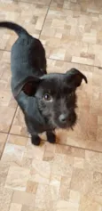 Frida