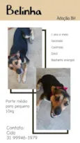 Belinha