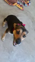 Belinha