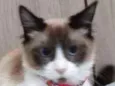 FRANCISCA