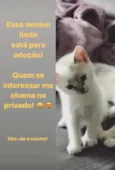 Salvador