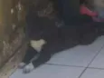 Não tem nome