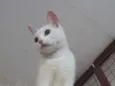 Clara