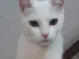 Clara