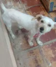 Junior