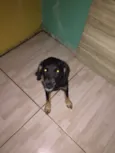 Lulu