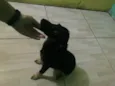Lulu
