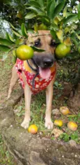 Bob