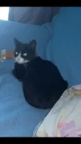 Wnisk
