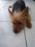 Não sei 