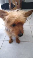 Não sei 