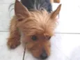 Não sei 