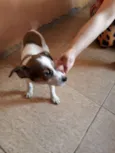 Marley