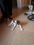 Marley