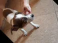 Marley