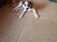 Marley
