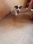 Charlie