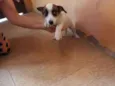 Charlie