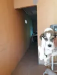 Marley