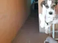 Marley