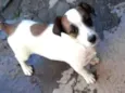 Charlie