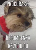RALPH