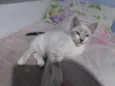 Lili
