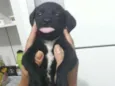 Sem nome