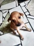 Ainda sem nomes