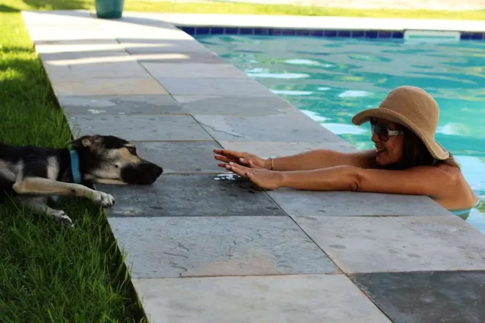 Cachorro ra a Doberman,com vira lata idade 3 anos nome Thor