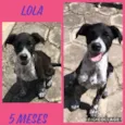 Lola