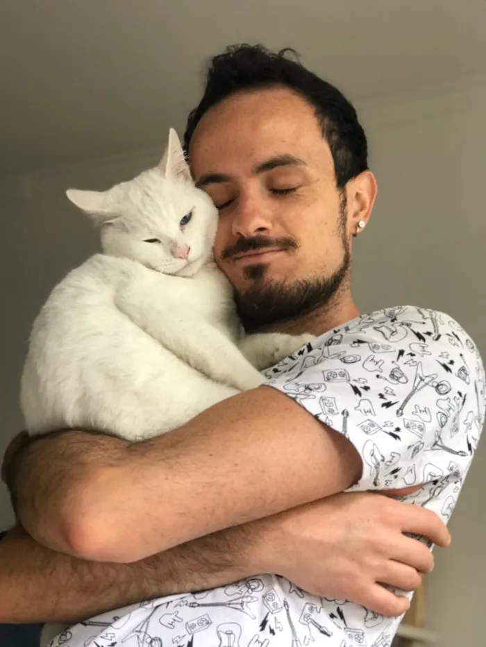 Gato ra a SRD idade 1 ano nome Mingau
