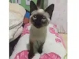 Lila