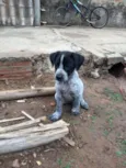 Tita