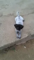 Tita