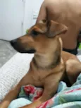 Scooby