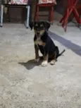 Samantha 