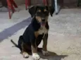 Samantha 