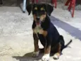 Samantha 