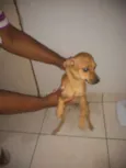Bob