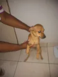 Bob