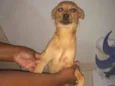 Bob