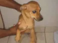 Bob