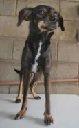 MILENA 1 aninho