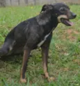 MILENA 1 aninho
