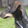 MILENA 1 aninho