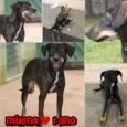 MILENA 1 aninho