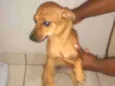 Bob